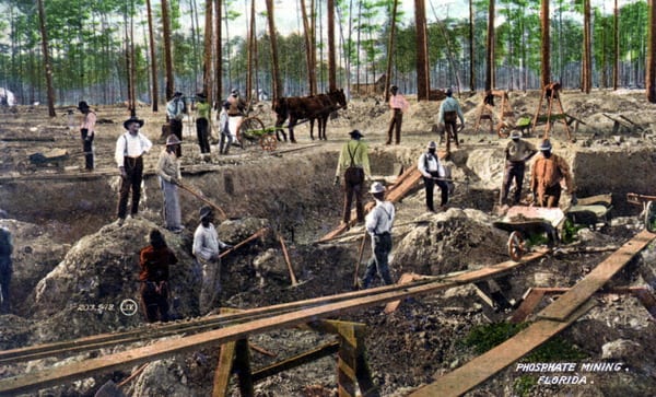 Hand mining of Phosphate brought ten thousand people to Floral City in the 1890s.