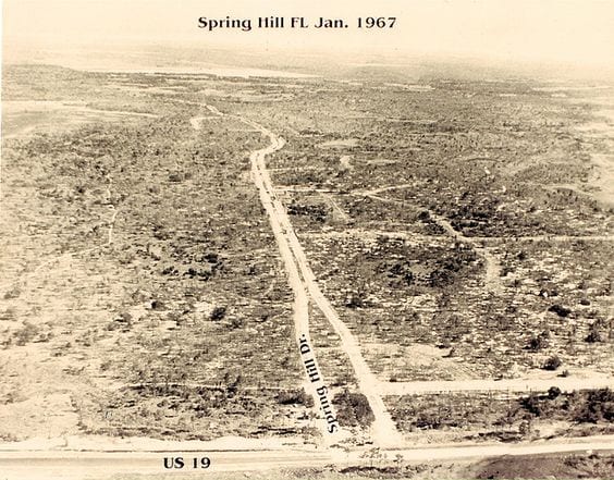 Spring Hill before the planned community was built.
