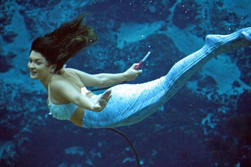 Cheyenne is graceful and confident underwater. She is part of a tight-knit team at Weeki Wachee State Park and loves to share the joy of being a mermaid.