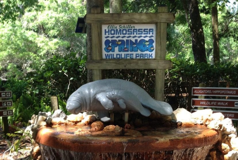 Manattee statue in front of Homosassa Springs Wildllife park