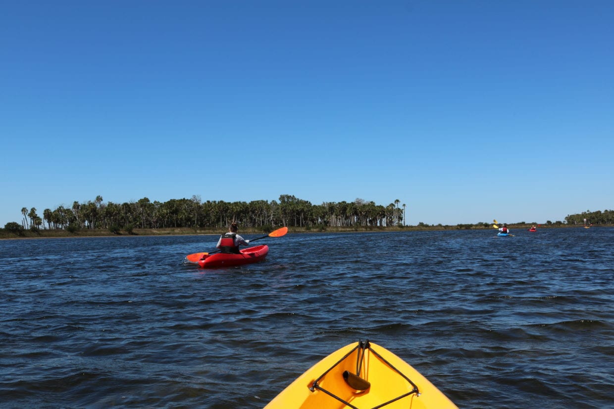 Kayakers on the water