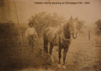 Fielders Harris plowing