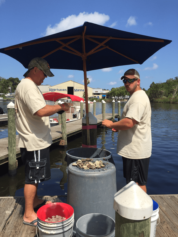 localboys scallop cleaners in homosassa