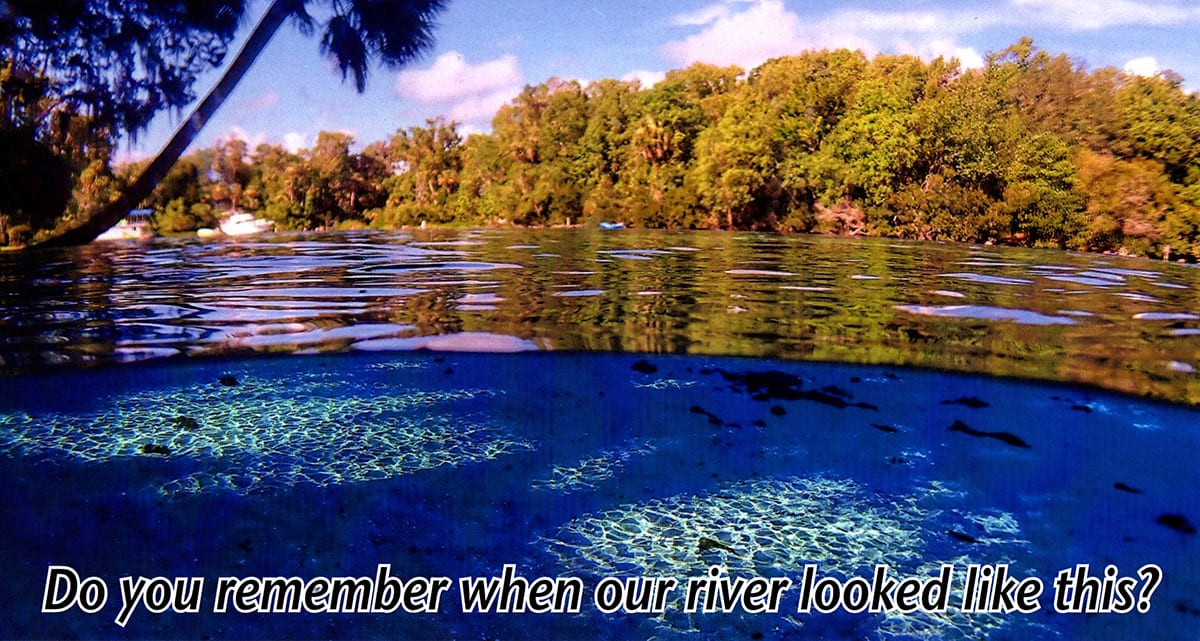 Homosassa River Restoration Project
