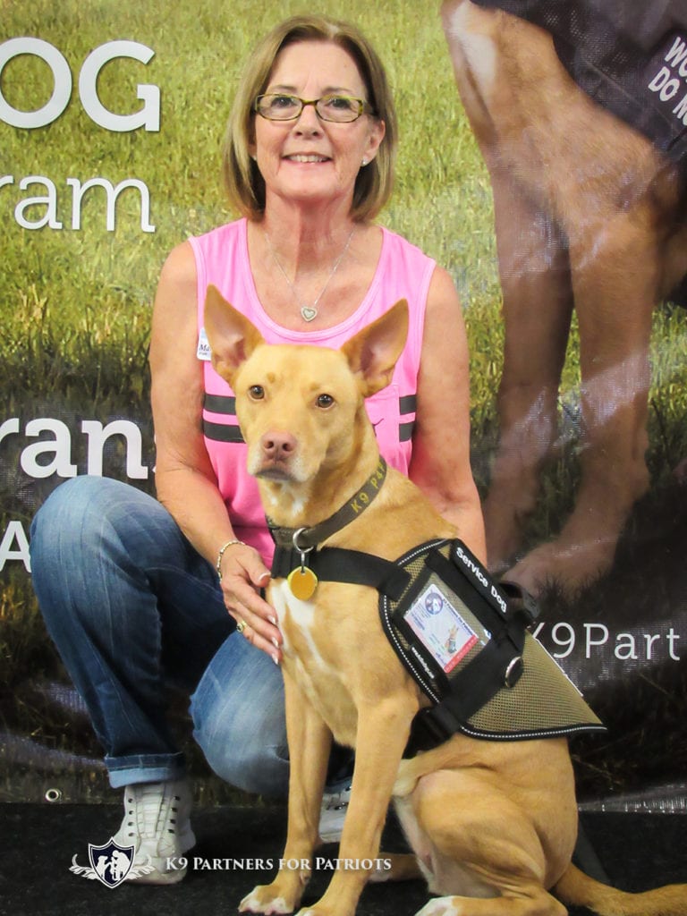 Pets First Collegiate Pet Accessories, Dog Collar, Ohio State