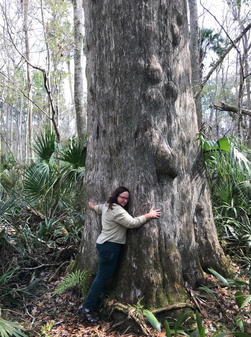 Woman hugging giant cypress tree