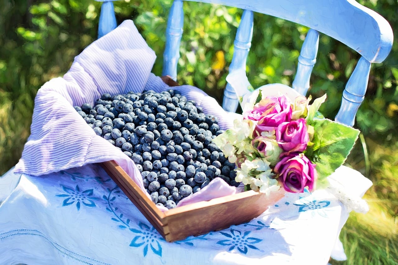 blueberries-870514_1280