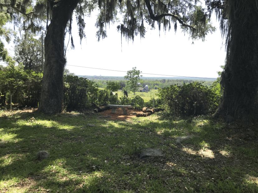View from Chinesgut Hill Trail