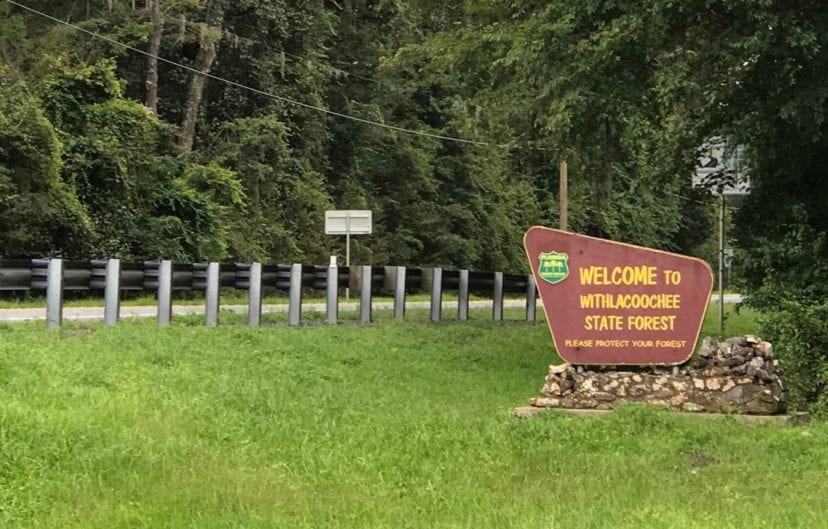 withlacoochee state forest sign