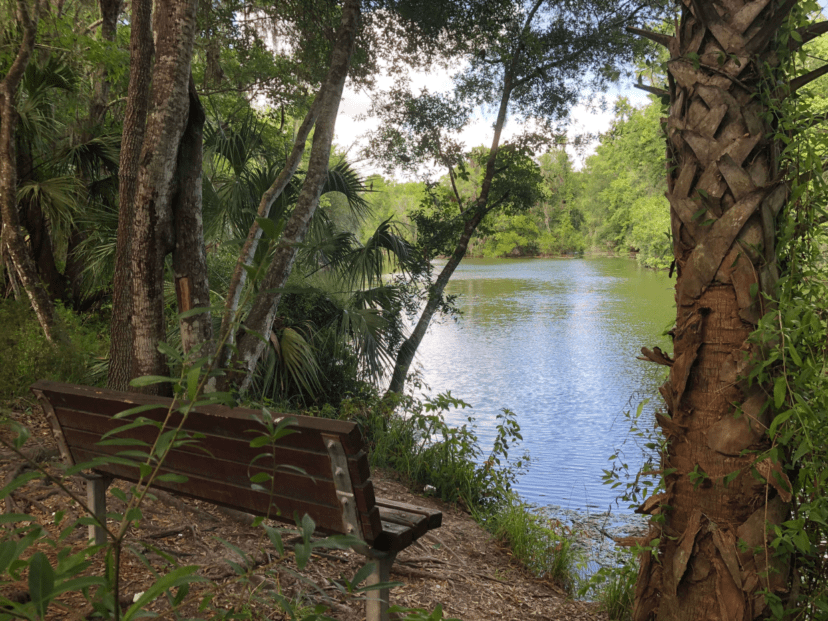 Bench with pond view on Blue Run Trail