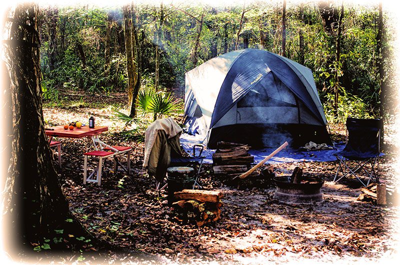 camping with the blues primitive