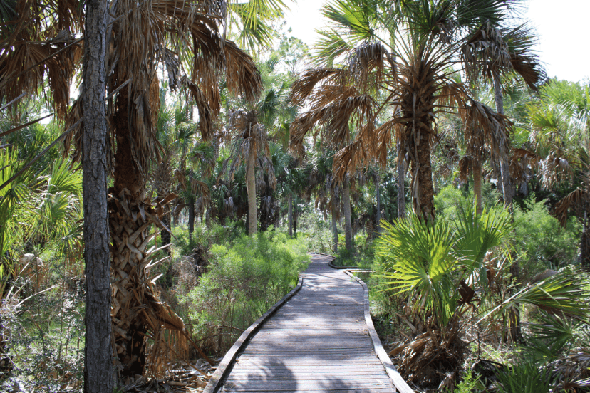 The withlacoochee gulf preserve salt marsh boardwalk
