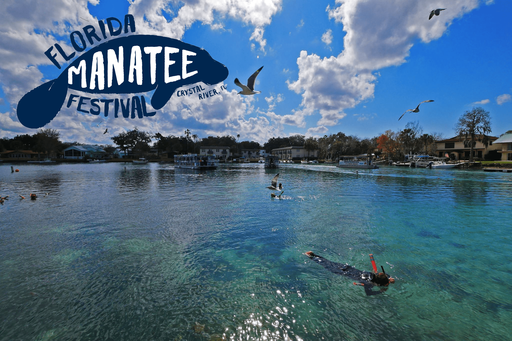 34th Annual Manatee Festival returns to Crystal River March 2728