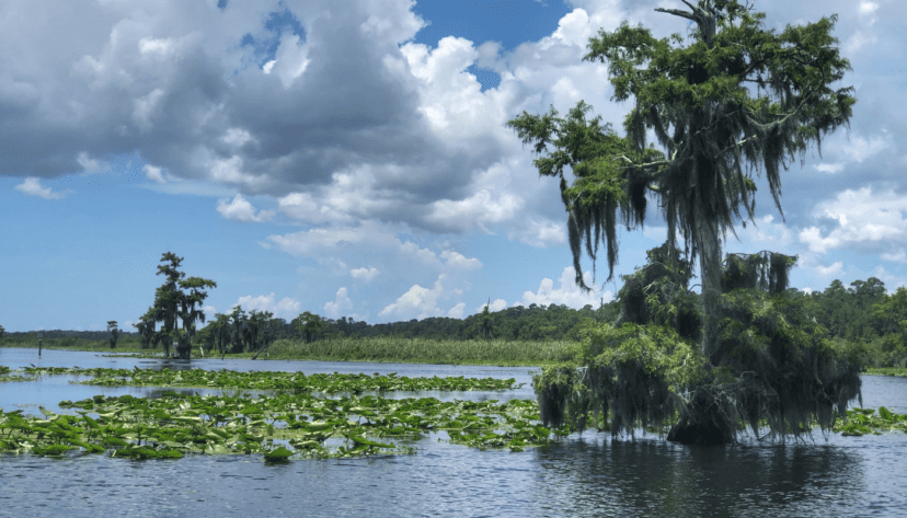 Boating on the Lower Withlacoochee & Lake Rousseau