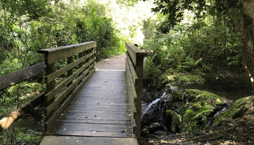 rainbow springs footbridge