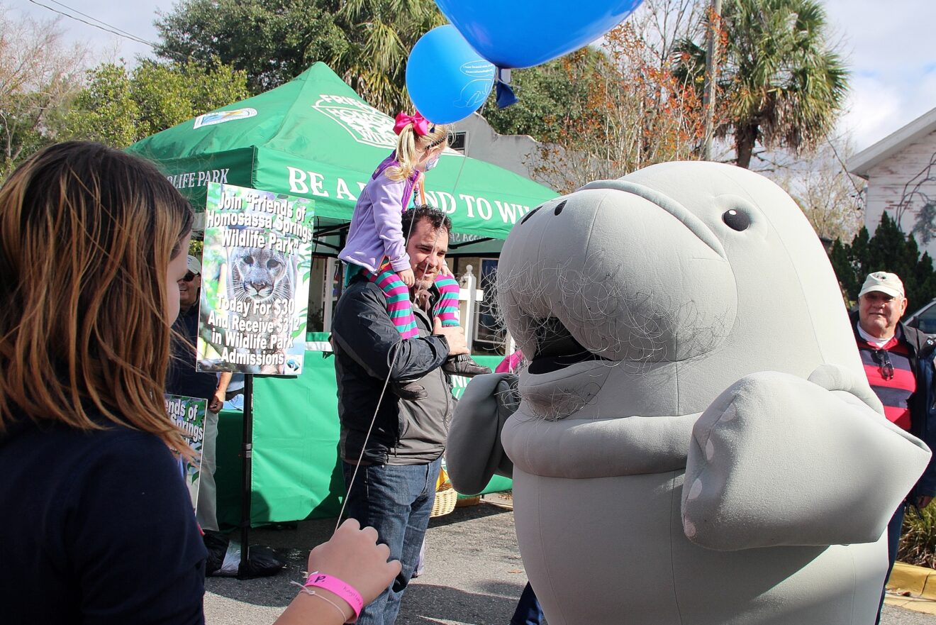 Get Ready for the 37th Annual Florida Manatee Festival Jan. 13-14 in Downtown Crystal River