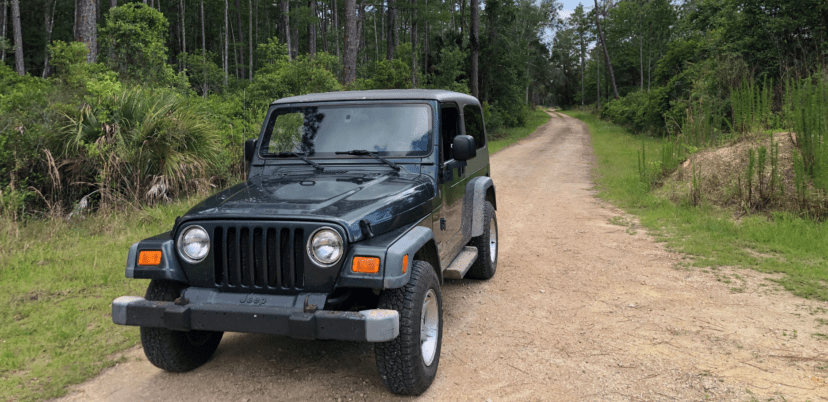jeep goethe state forest