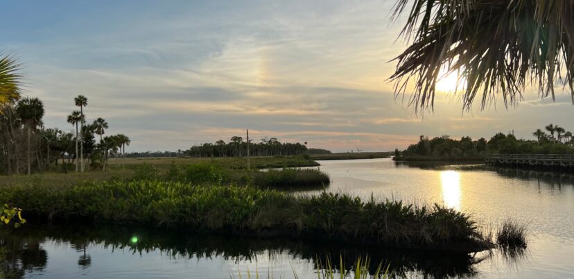 nature coast view by Sally White