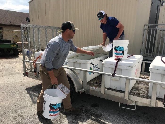 Partners from CCA and Duke Energy work together to unload 500 red drum fingerlings to Stambaugh Middle School in Auburndale for Aquaculture in the classroom