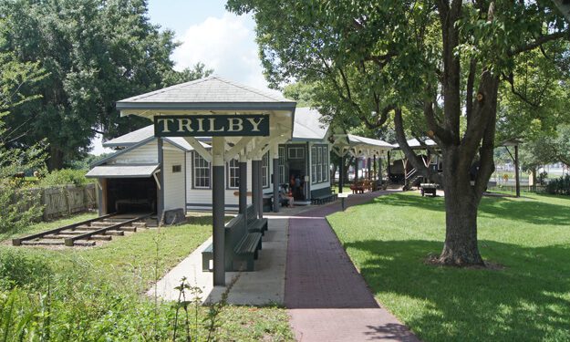 trilby depot