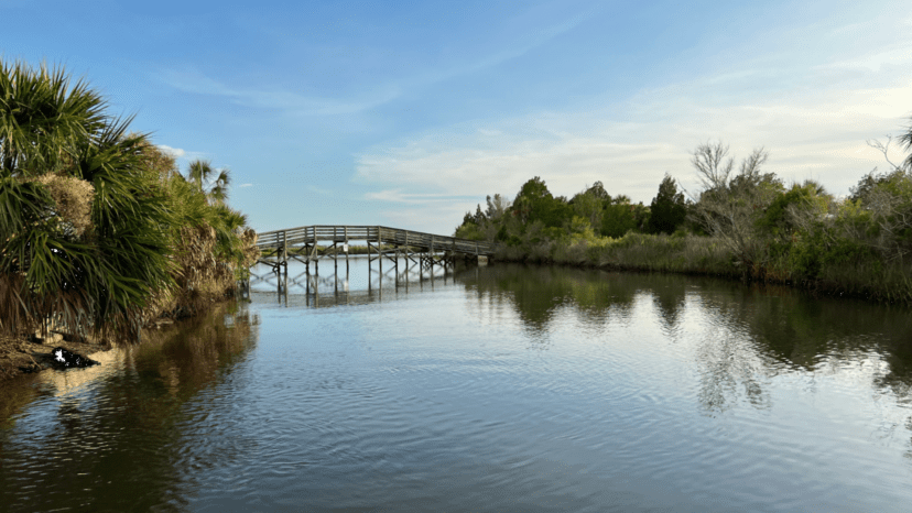 bridge over jenkins creek