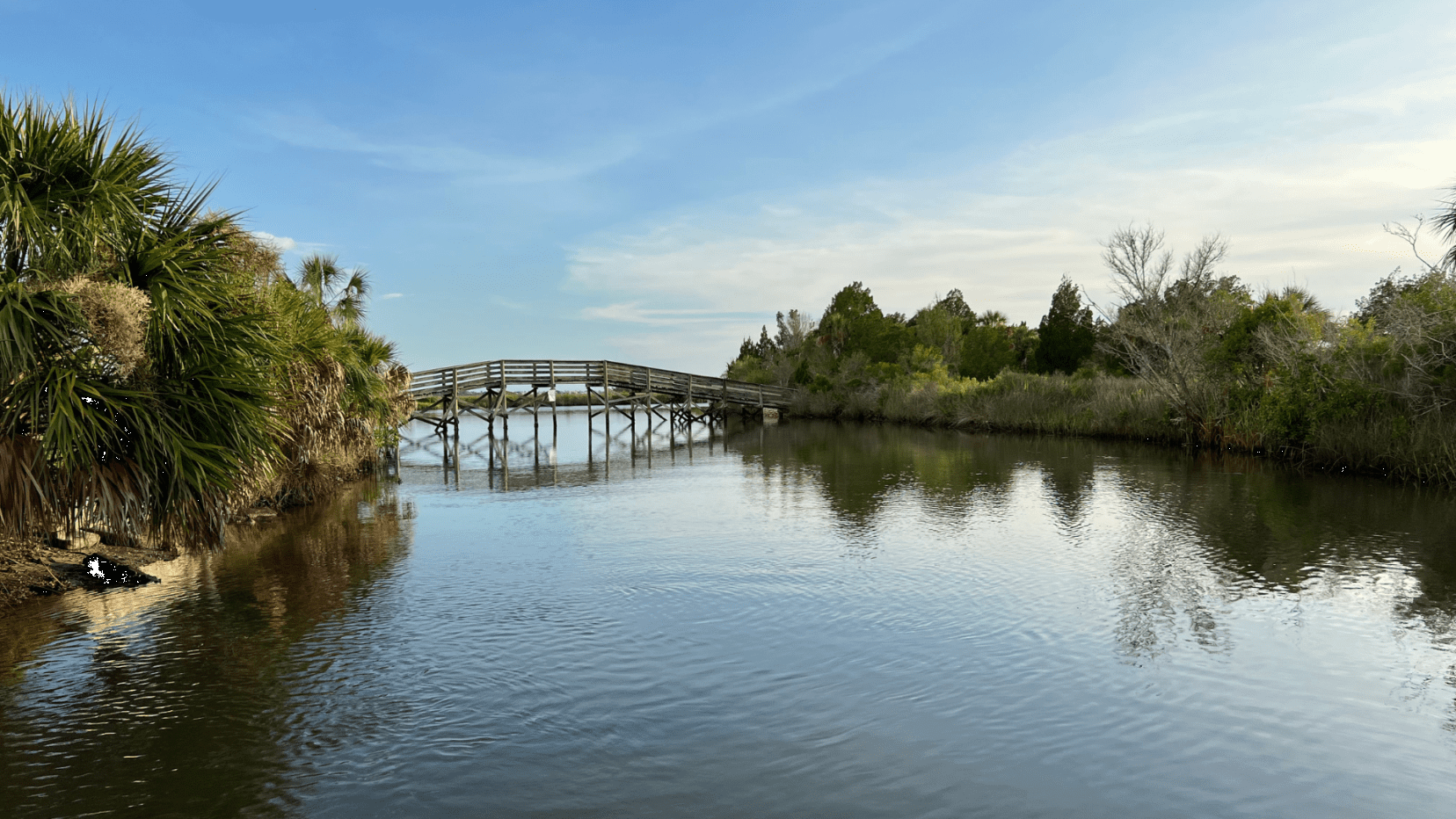 Manatee Treat at Jenkins Creek Preserve