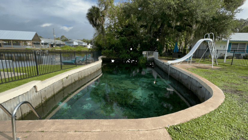 king's bay lodge spring fed pool