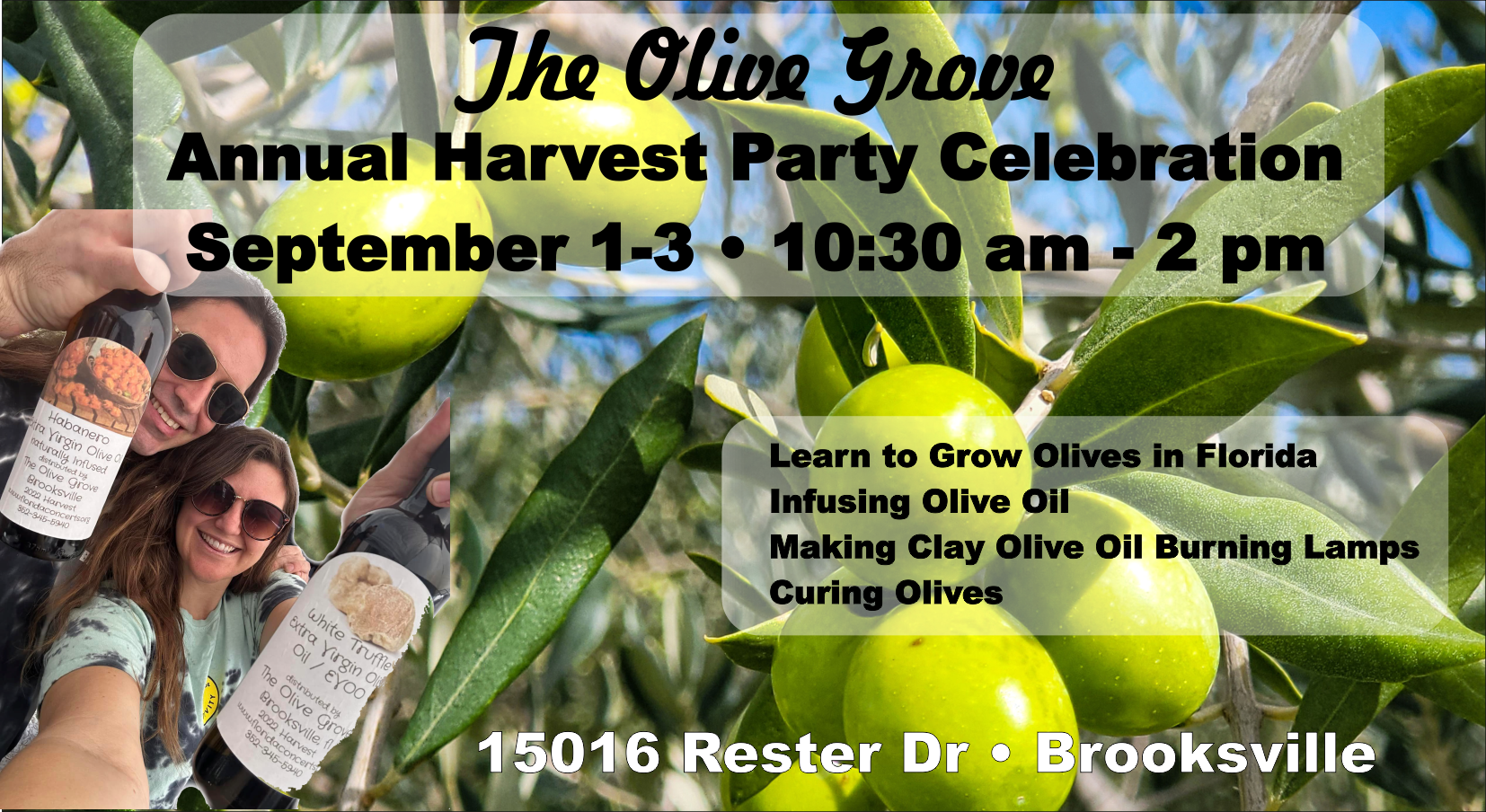 Olive Grove Brooksville Harvest Party 2023